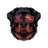 Rottweiler with American Sunglasses