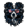 Shetland Sheepdog with American Sunglasses