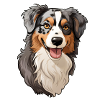 Australian Shephard