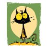 The Coolest Funny Cat