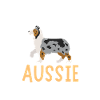 Berger australien aussie