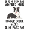 Chien berger border collie