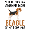 Race de chien beagle