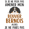 Chien de race bouvier bernois