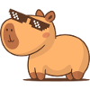 Cool Capybara