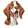 Italian Pointing Dog | Bracco Italiano