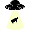UFO Cow