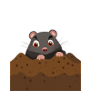 Mole