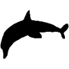 Dolphin Symbol Animal Blue