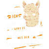 Alpaca Llama Alpacas Animal