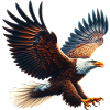 Eagle