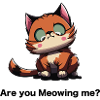 are you meowing me