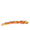 infirmière fière retraite