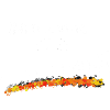infirmier à la retraite