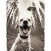 Dogs Selfie with Alien Spaceship
