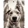 Dogs Selfie Alien Spaceship Funny