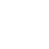 Funny White Bird