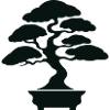 Bonsai Tree
