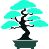 Bonsai Tree