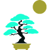 Bonsai Tree Sun