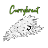 Curry Herb Herbs
