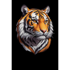 Tigre
