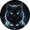 Black Cat