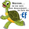 Tortue