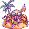 Tarantula Summer Beach Vacation