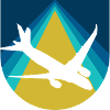 Flugzeug Pilot Luftfahrt