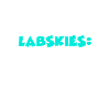 Labsky Labskies