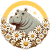 Hippo Daisy