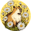 Capybara