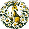 Australian Kangaroo