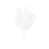 Coq coq
