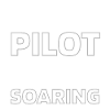 Airplane Pilot