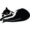 Sleeping Cat