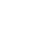 Orion