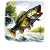 Bass Fish