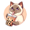 Siamese Cat Having Bubble Tea