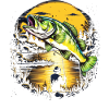 Bass Fish