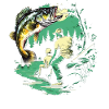 Bass Fish