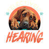 Rhodesian Ridgeback Drôle ÉCOUTE SÉLECTIVE