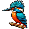 Kingfisher