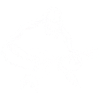 Fox Playing Guitar Gift