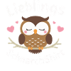 Night Owl, Owl, Owl, Bird