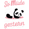 Panda Panda Bear Pandas