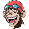 Mad Monkey aime nager