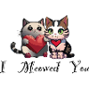 i meowed you