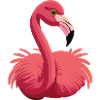 flamingo